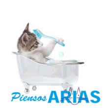 higiene y cuidados gatos